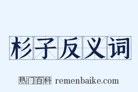 杉子反义词是什么意思的图片
